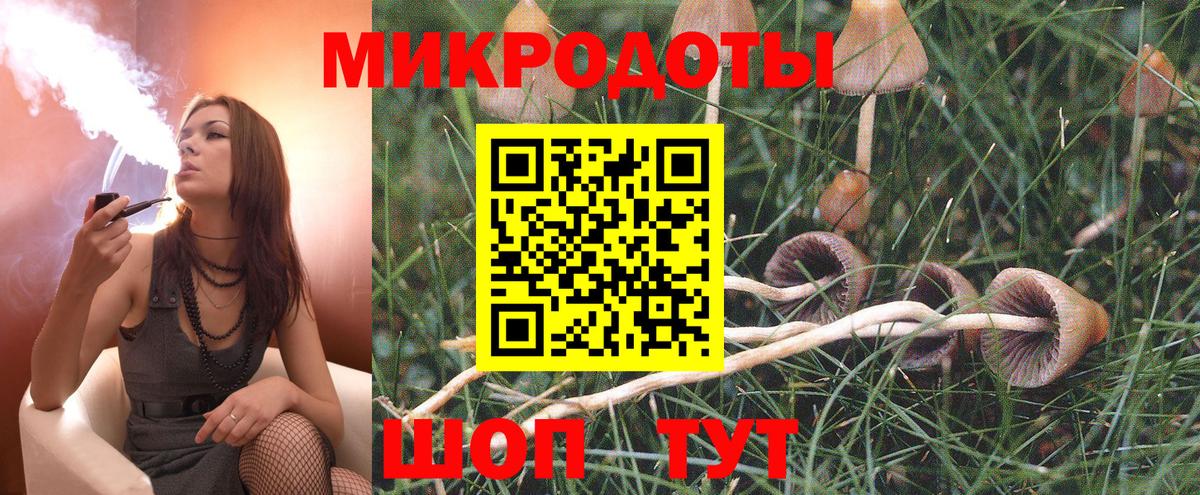 Галлюциногенные грибы GOLDEN TEACHER Павловский Посад