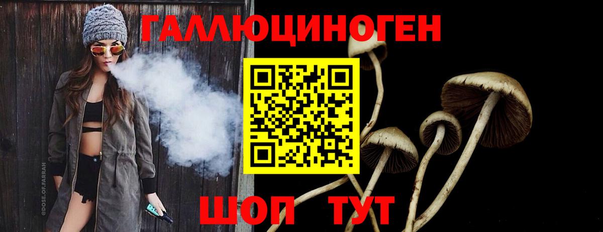 Павловский Посад  Галлюциногенные грибы мицелий  Вход с VPN 